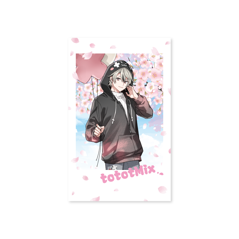 ランダムチェキ風カード【A】 – CRAZY RACCOON ONLINE STORE